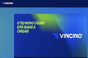 Cover Vincino